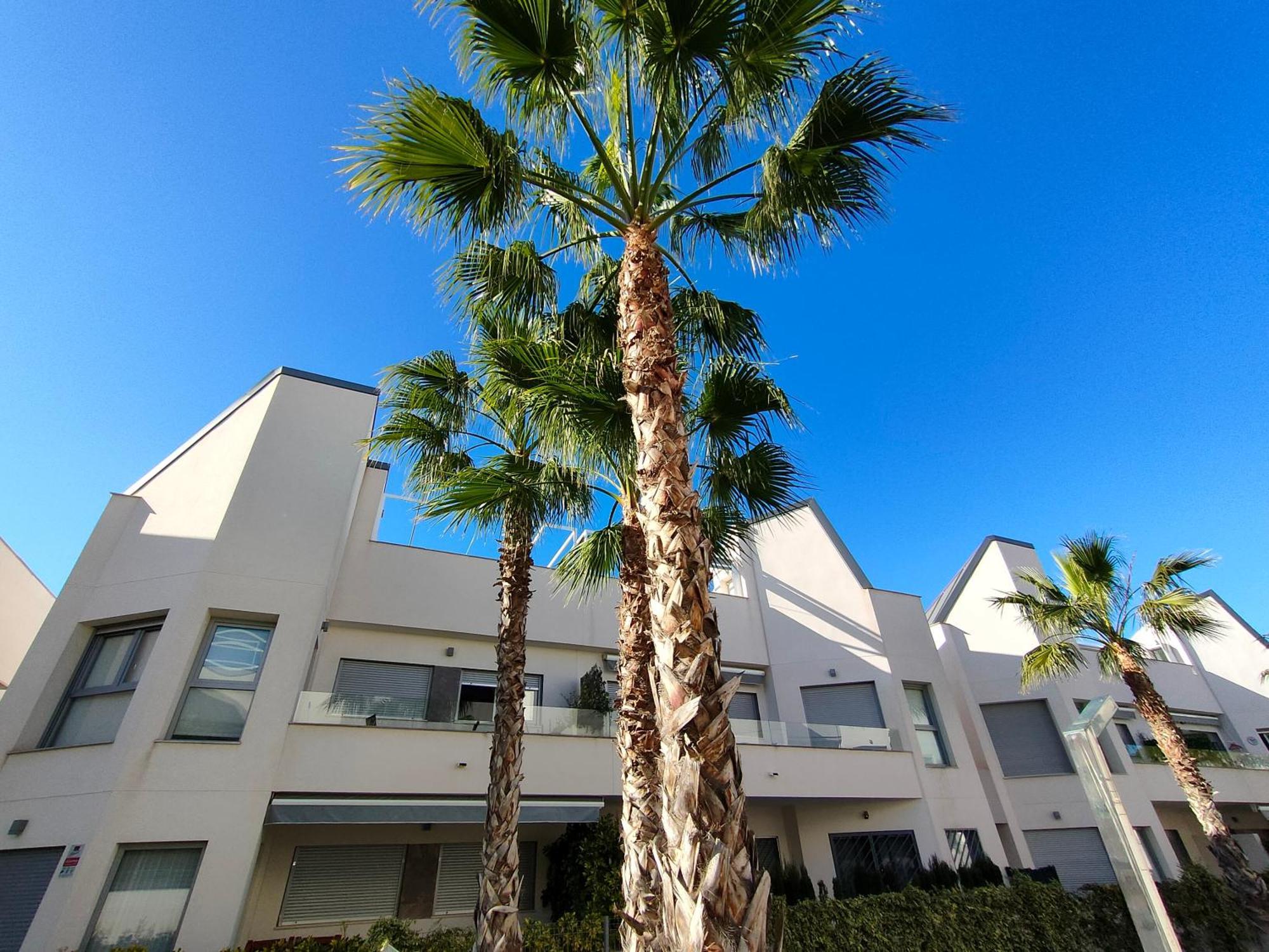 Villa Amalia Eco Torrevieja Oda fotoğraf
